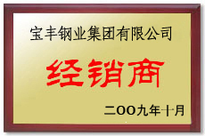 盐山宝丰经销商